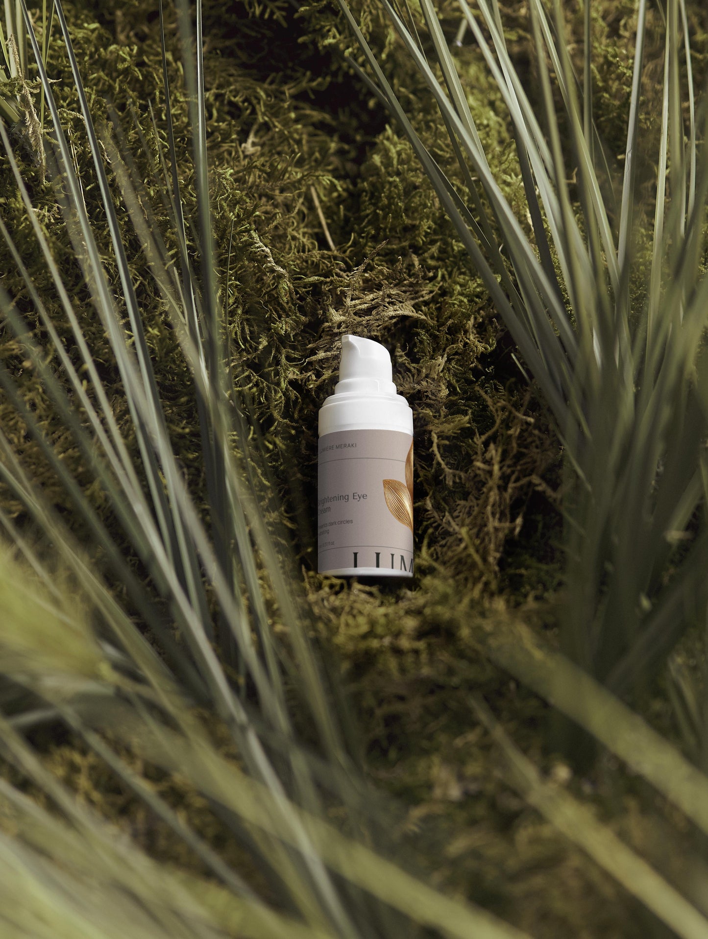 Luminous Skin Collection Box