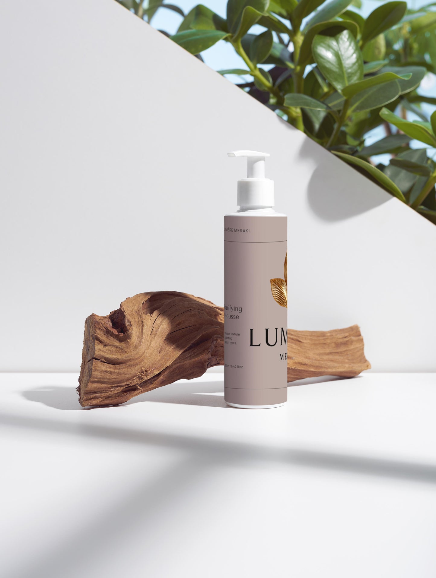 Purifying Mousse