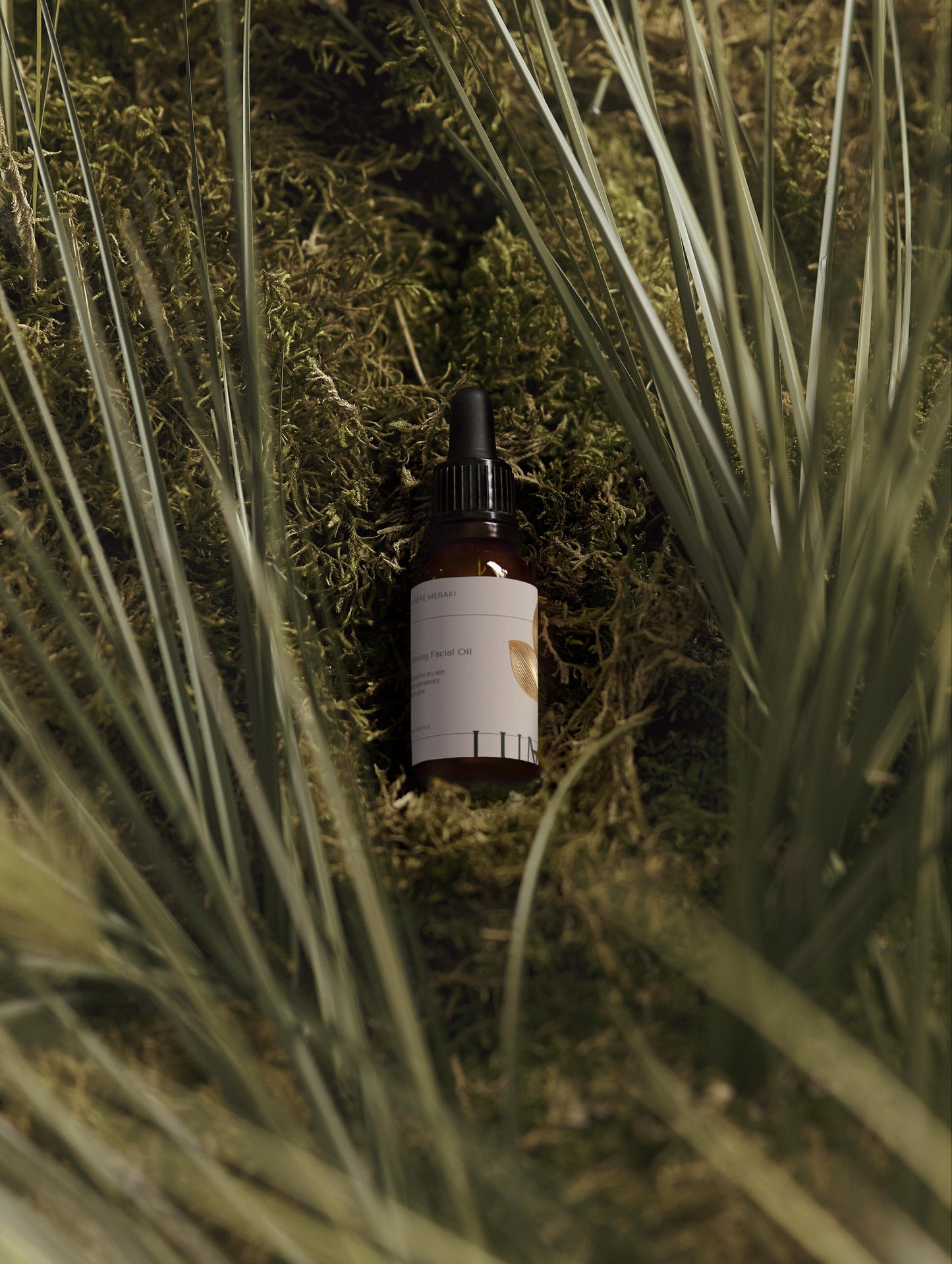 Calming Facial Oil