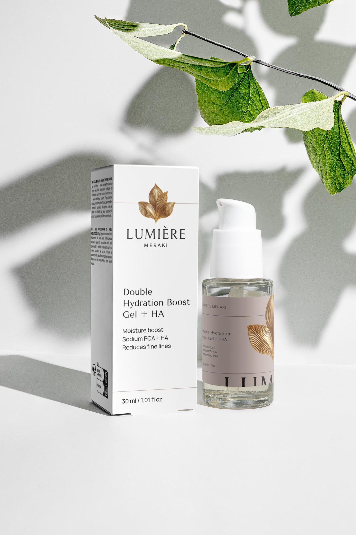 Timeless Radiance Collection Box